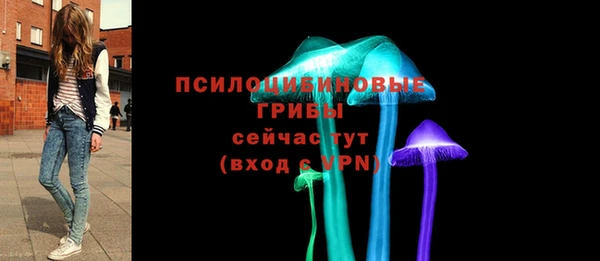 apvp Алексин
