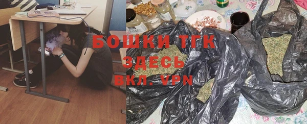 хмурый Алзамай