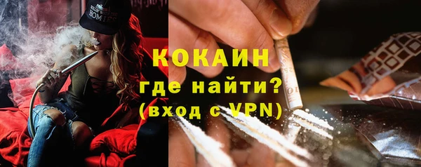 apvp Алексин