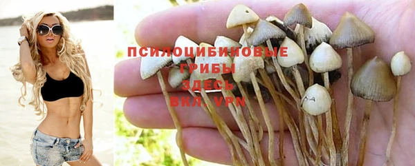 тгк Алексеевка