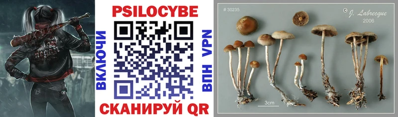 Псилоцибиновые грибы прущие грибы Ахтырский